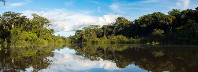 Amazonia - obrazy, fototapety, plakaty