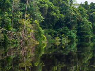 Amazonia