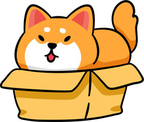 Shiba dog in the box