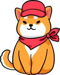 Cute Shiba dog