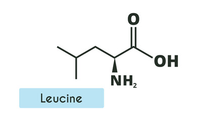 Leucine Molecule Structure. (l-leucine, Leu, L). Skeletal formula. Amino acid.