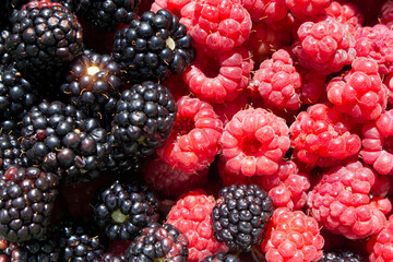 Raspberry and blackberry berries mixed together in a bowl