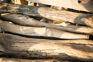 Light wood texture background surface with old natural pattern