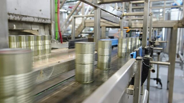 Tomato sauce cans on a conveyor belt in a canned food production facility