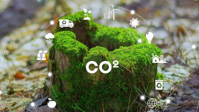 Reduction of carbon emissions, carbon neutral concept. Net zero greenhouse gas emissions target. Reducing carbon footprint concept. Digital icons. 4K