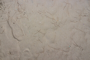 Background of sand beach in the top perspective. Surface of white sand pattern with free space.