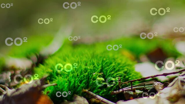 Environmental technology concept. Reduce CO2 emission concept, environmental, global warming, Sustainable development and green business based on renewable energy.4K video