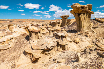 Fototapeta na wymiar Strange Geological Formations in the Bisti Badlands of New Mexico