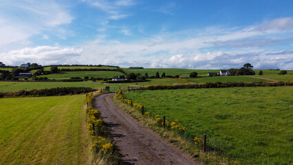 Fototapeta na wymiar A country road between green fields in Ireland. Blue sky over grass fields. Irish summer landscape. Green grass field under blue sky