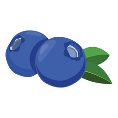 Vector illustration of blueberry fruit for helaty lifestyle