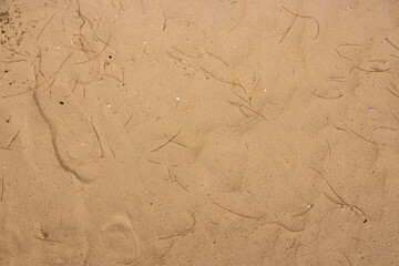 Background of sand beach in the top perspective. Surface of sand pattern with free space.
