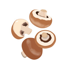 Vector illustration of champignon mushroom. Edible fungi whole and slice. For vegetarian food with healthy lifestyle