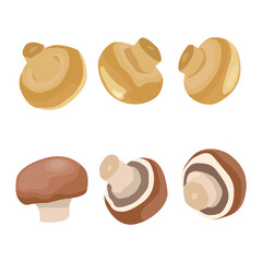 Vector illustration of champignon mushroom. Edible fungi whole and slice. For vegetarian food with healthy lifestyle
