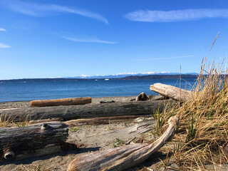 Driftwood on a beach looking out over the Puget Sound with the Olympic mountains in the distance.