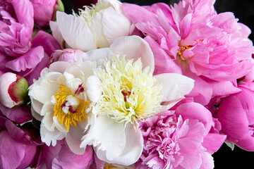 Bunch of fresh peony flowers