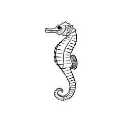 Vector sketch hand drawn silhouette of a seahorse, doodle art