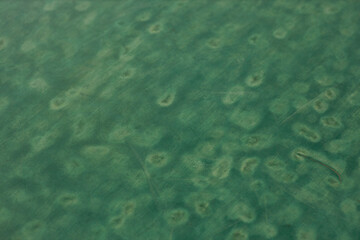 a fragment of old green linoleum on the floor of the gym