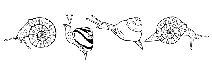 A set of decorative sketches, doodles of various snails.Vector graphics.	