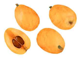 びわのイラスト　手描き　水彩風