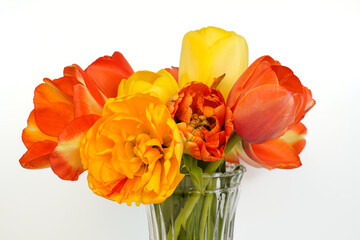 Bright bouquet of orange and yellow tulips. White background.