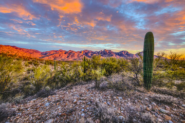 USA, Arizona, Catalina State Park. Sunset landscape with Catalina Mountains and desert. - obrazy, fototapety, plakaty