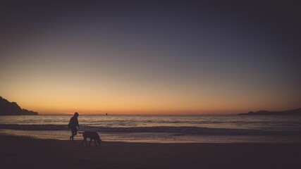 A silhouette of a female with her dog walking on the beach shore in san francisco california