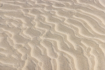 Fototapeta na wymiar Guerrero Negro, Mulege, Baja California Sur, Mexico. Sand dunes along the western coast.