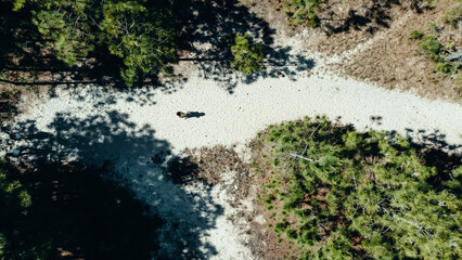 Praia Paradisíaca Tropical Ondas Moçambique Florianópolis Floripa Santa Catarina Ilha Magia Pedras Costão Pesca Pescadores Rancho Natureza Paisagem Areia Dunas Oceano Atlântico Floresta Reserva Natura