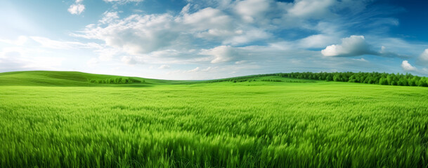 Fototapeta na wymiar Green fields design, texture-rich, green grass background. Generative Ai. 