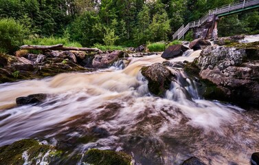 Scenic view of a river winding its way through a lush green forest, surrounded by rocks and rapids