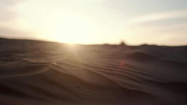 Golden sand close up Sahara desert. Sunset. Sand dunes and blue sky. Beautiful desert landscape