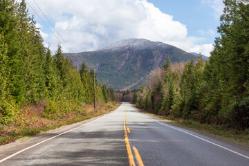 Fototapeta premium Scenic Road with green Trees and Mountains in Background. Pacific Rim Hwy to Tofino, Vancouver Island, British Columbia, Canada.