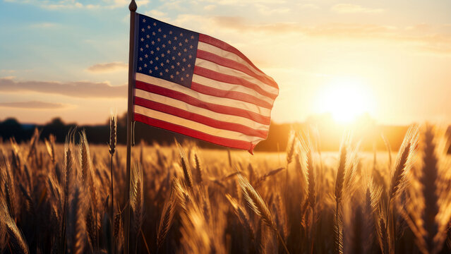 sunlit wheat field, with an American flag standing tall amidst the golden stalks, independence day concept, generative ai