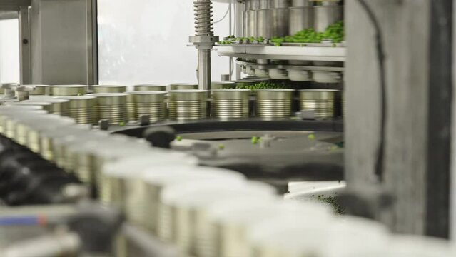 Green peas in cans on a conveyor belt in a canned food production facility
