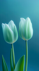A green background with white tulips in the middle. Generative AI
