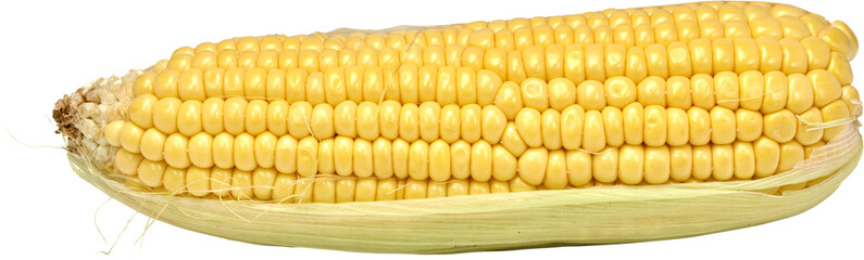 elotes