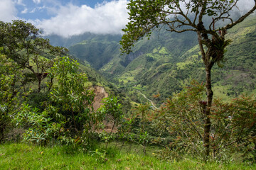 Obraz na płótnie Canvas Some of the jungle has been cleared in this view of the Andes highlands.