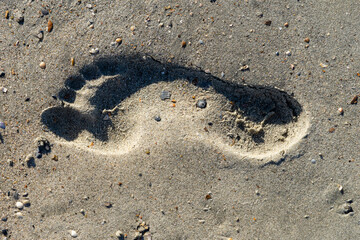 Fototapeta na wymiar A footprint in the sand on the beach.