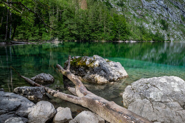 Fototapeta na wymiar Dead Tree Trunk and Stones in Obersee Mountain Lake, Berchtesgaden, Germany, Europe