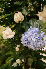 Arch for the newlyweds from greenery and hydrangeas, wedding decor