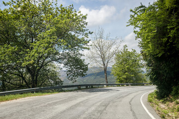 Fototapeta premium Image of a section of national road 103, N103, between the municipalities of Viana do Castelo and Bragança, surrounded by beautiful and verdant spring vegetation. 