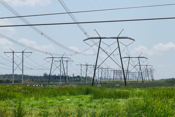 Powerlines Parallel the Everglades