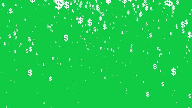 USA Dollar signs symbol Falling down animation on green screen background, Rain of USD Symbols icon chroma key video