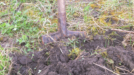 Shovel digging in the ground. A shovel stuck in the ground