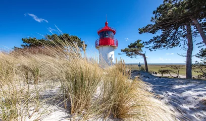 hiddensee gellen © Klaus Haase 