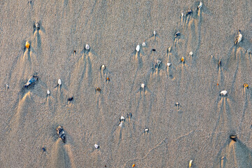 Sand beach pattern from washed water over shells and stones