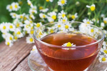 cup of hot tea with chamomile flowers
