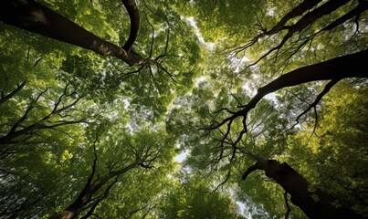  looking up at the tops of trees in a forest with green leaves.  generative ai