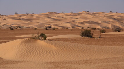 Sand dunes in the Sahara Desert, outside of Douz, Tunisia