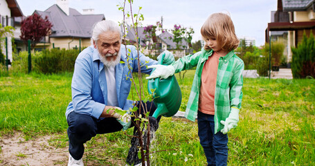 Old grandfather teaching little cute grandson watering planted small tree at summerhouse. Kid with...
